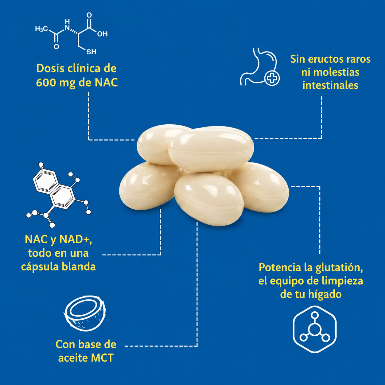 NAC600 & NAD+ Complex